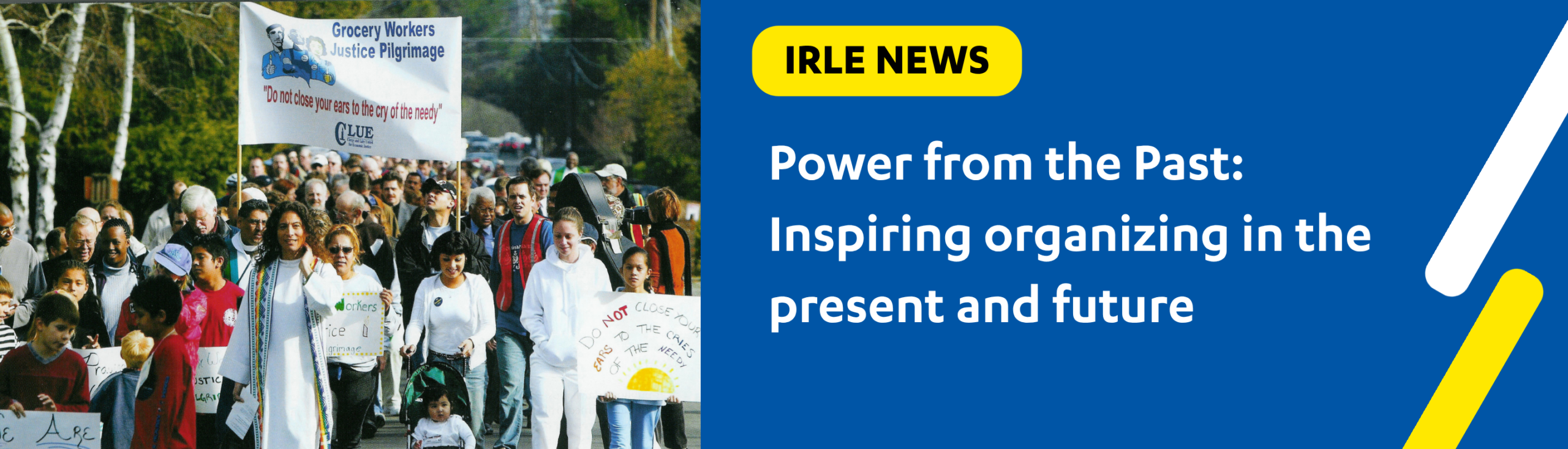 IRLE Website Banner template (22)